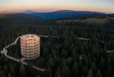 an aerial view of a building in the middle of a forest at Kavenija apartmaji - Free Parking in Maribor