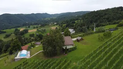an aerial view of a vineyard and a house in a field at zidanica Bunderšek in Šentjanž