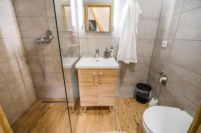 a bathroom with a shower and a sink and a toilet at Guesthouse Pr'Šefu in Brežice