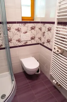 a bathroom with a toilet and a shower at A house with the view in Srednja Vas v Bohinju