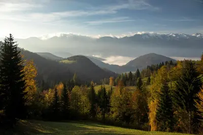 a view of a valley with trees and mountains at A house with the view in Srednja Vas v Bohinju
