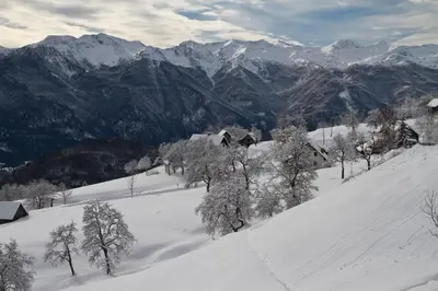 a snowy mountain with a house and trees in the snow at A house with the view in Srednja Vas v Bohinju
