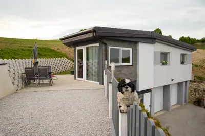 a dog sitting on a fence in a tiny house at Apartma Lara in Lesično