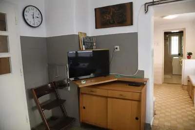 a living room with a television on a wooden table at Pri Matičku in Bohinj
