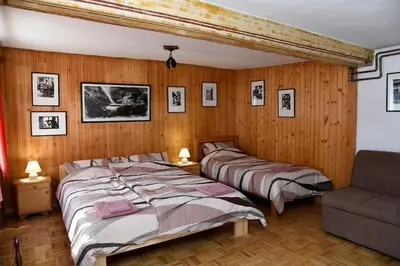 two beds in a bedroom with wood paneled walls at Pri Matičku in Bohinj