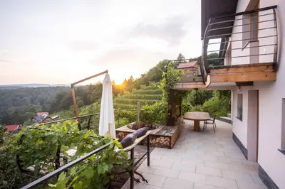 a balcony of a house with a view of a vineyard at Holiday home in Sentvid pri Sticni - Zentralslowenien 43927 in Šentvid pri Stični