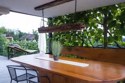 a table with a potted plant on a patio at Holiday home in Sentvid pri Sticni - Zentralslowenien 43927 in Šentvid pri Stični