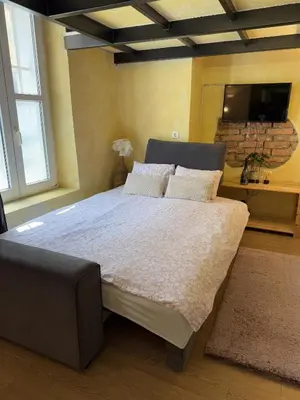 a bedroom with a large bed in a room at Central Oasis-with parking in Ljubljana