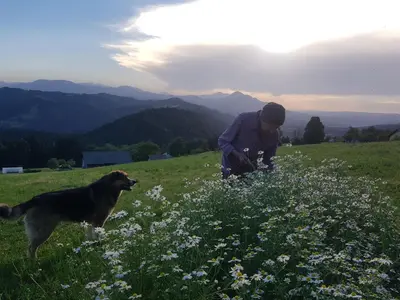 a man in a field of flowers with a dog at Grunt Sonek in Mislinja