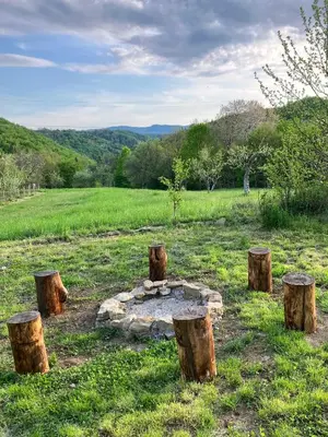 a fire pit in the middle of a field with logs at ADORI in Ilirska Bistrica