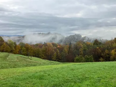 a green field with trees and clouds in the background at ADORI in Ilirska Bistrica