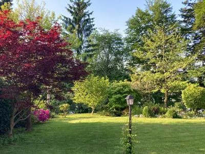 a park with trees and a lamp post in the grass at Family lake house Zbilje in Ljubljana