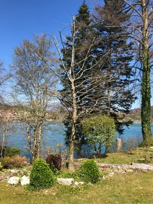 a group of trees and a body of water at Family lake house Zbilje in Ljubljana