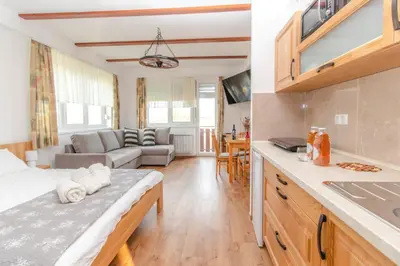 a kitchen and living room with a bed and a couch at Apartments PIT Zdole in Kozje