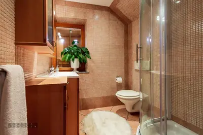 a bathroom with a toilet and a sink and a shower at Vineyard Cottage Klemencic in Novo Mesto