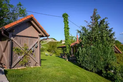 a garden with a wooden shed and a tree at Vineyard Cottage Klemencic in Novo Mesto