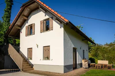 a white house with a gambrel roof at Vineyard Cottage Klemencic in Novo Mesto