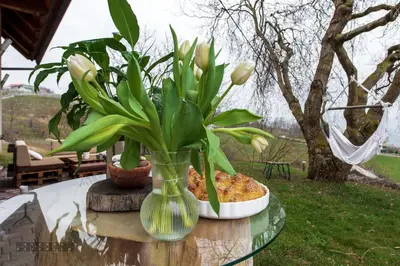 a vase with flowers and a pizza on a table at Vineyard Cottage Klemencic in Novo Mesto