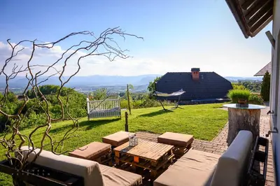 a patio with a table and a hammock in a yard at Vineyard Cottage Klemencic in Novo Mesto