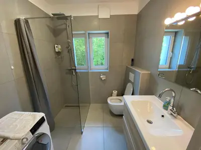 a bathroom with a shower and a sink and a toilet at VILA ADA - 4 Cosy Apartments in Ljubljana