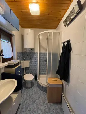 a bathroom with a shower and a toilet and a sink at Vintage Holiday House in Šoštanj