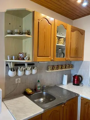 a kitchen with a sink and wooden cabinets at Vintage Holiday House in Šoštanj