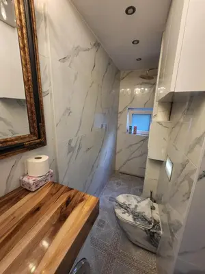 a bathroom with a toilet and a marble wall at Vintage Apartment In The City Centre Old Town in Ljubljana