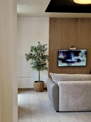 a living room with a couch and a potted tree at Apartment Center Rogaška - Pubyland in Rogaška Slatina