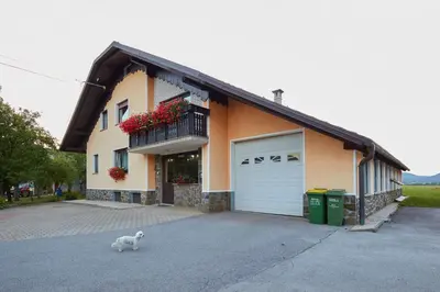 a small white dog standing in front of a house at Apartma Steles in Stari Trg pri Ložu