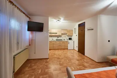 a living room with a television and a kitchen at Apartma Steles in Stari Trg pri Ložu