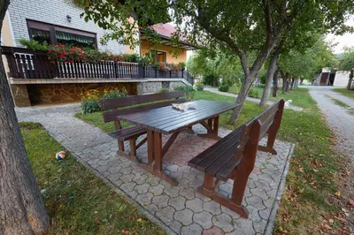 a wooden picnic table with a cat sitting on top of it at Apartma Steles in Stari Trg pri Ložu