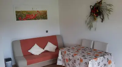 a room with a couch and a table with a flowery table cloth at Apartma Steles in Stari Trg pri Ložu