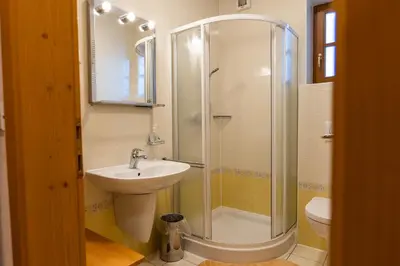 a bathroom with a shower and a sink at Bolfenk Snowflake app in Pohorje