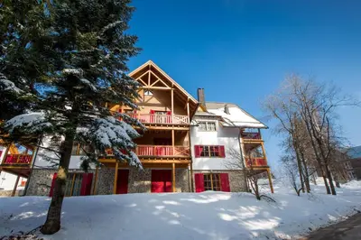 a house in the snow with a tree at Bolfenk Snowflake app in Pohorje