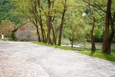 an empty road with trees and a stone building at Madronič family estate - Kolpa river in Stari Trg ob Kolpi