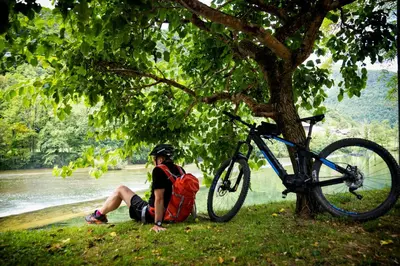 a man sitting under a tree next to a bike at Madronič family estate - Kolpa river in Stari Trg ob Kolpi
