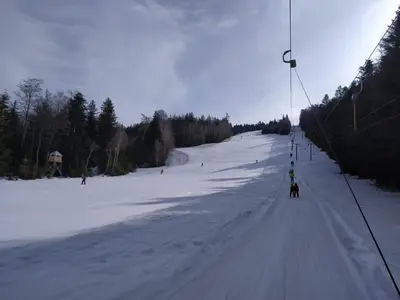 a person and a dog on a ski lift in the snow at Apartment Alpina in Pohorje