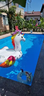 a pool with a inflatable unicorn in the water at Apartman MURKO P-1 in Brest