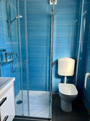 a blue bathroom with a toilet and a shower at APARTMA ALMA in Bovec