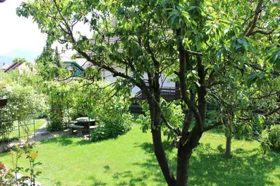a green yard with a tree in the foreground at La casa verde in Bled-Rečica