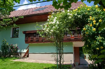 a house with a balcony and a tree with flowers at La casa verde in Bled-Rečica