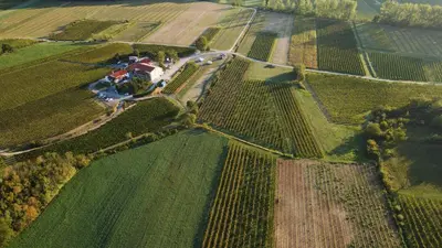 an aerial view of a farm in a field at Posestvo Rouna - winery and apartments in Vipava
