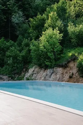 a pool of blue water next to a forest at Chalet HerMes arT in Idrija