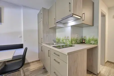 a kitchen with a sink and a stove at Studio Pika in Kranjska Gora