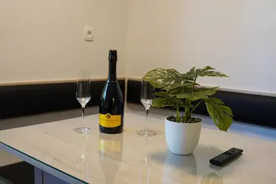 a bottle of wine and two glasses and a potted plant at Studio Pika in Kranjska Gora