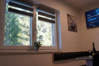 a window in a room with a plant on a window sill at Studio Pika in Kranjska Gora