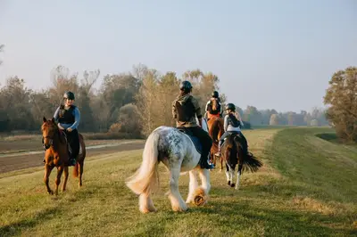 a group of people riding horses in a field at Apartment Country House Zaton in Tišina