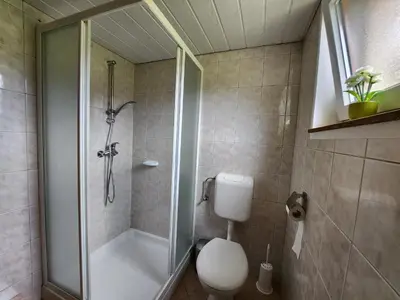 a bathroom with a shower and a toilet and a shower at Cottage Zoja in Bohinjska Bistrica
