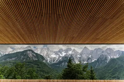 a picture of a mountain range with trees in front at Chalet Sofija in Gozd Martuljek