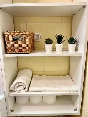 a shelf with plants and a basket and towels at Apartment Anka in Bovec